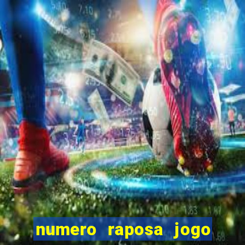 numero raposa jogo do bicho